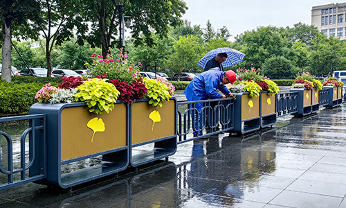 花箱不只是容器，更是城市颜值的“隐形推手”