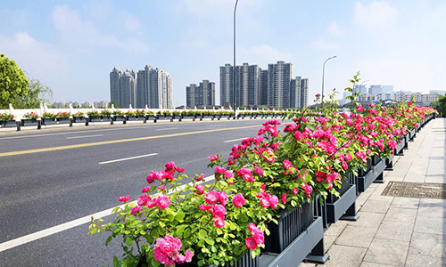源头工厂直发全国：彩格尔市政道路花箱护栏选型指南